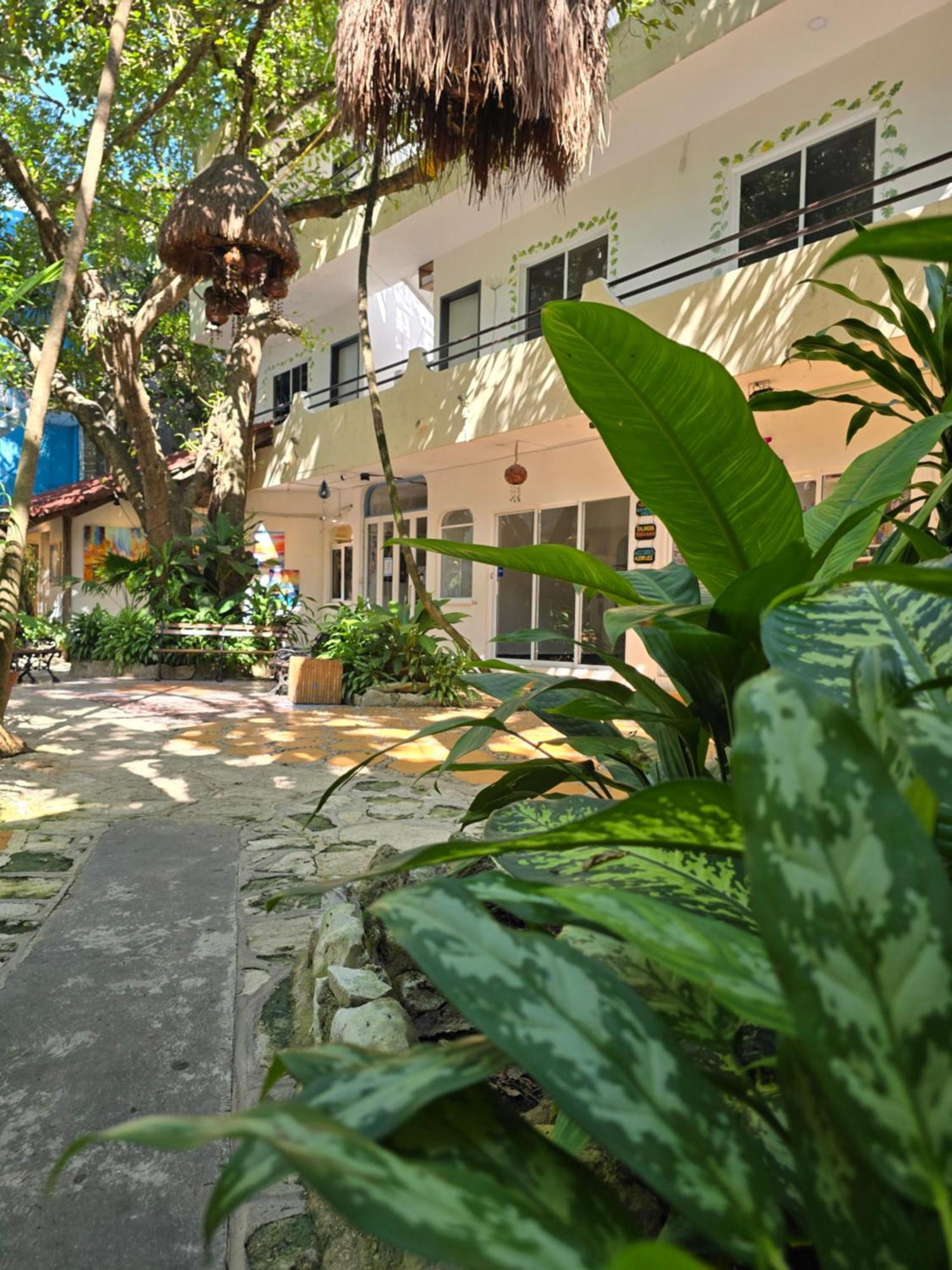 Hotel Ha Garden Gallery - 5Th Avenue Playa del Carmen Exteriér fotografie