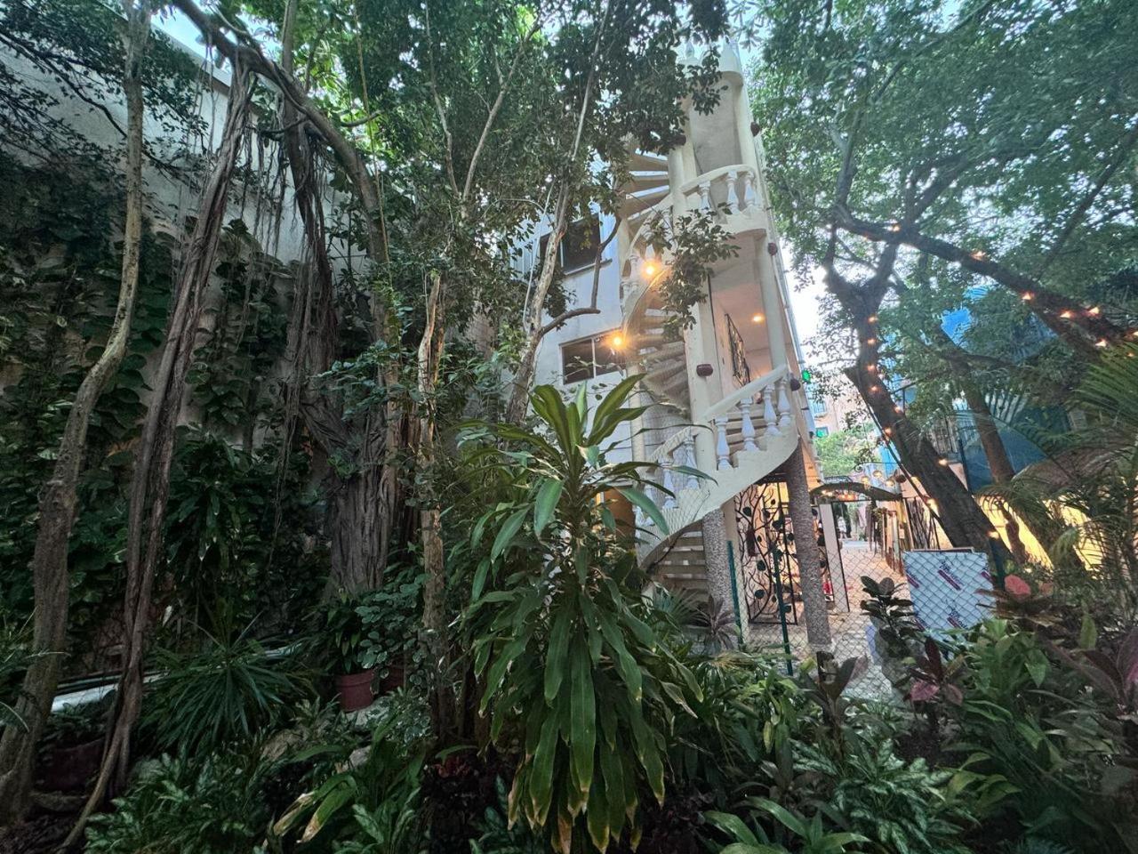Hotel Ha Garden Gallery - 5Th Avenue Playa del Carmen Exteriér fotografie