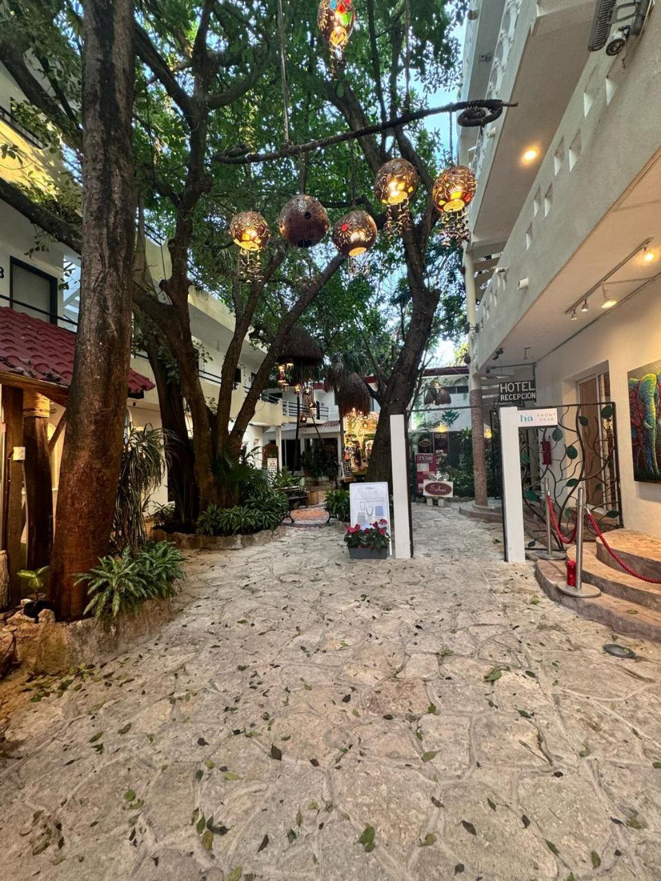 Hotel Ha Garden Gallery - 5Th Avenue Playa del Carmen Exteriér fotografie