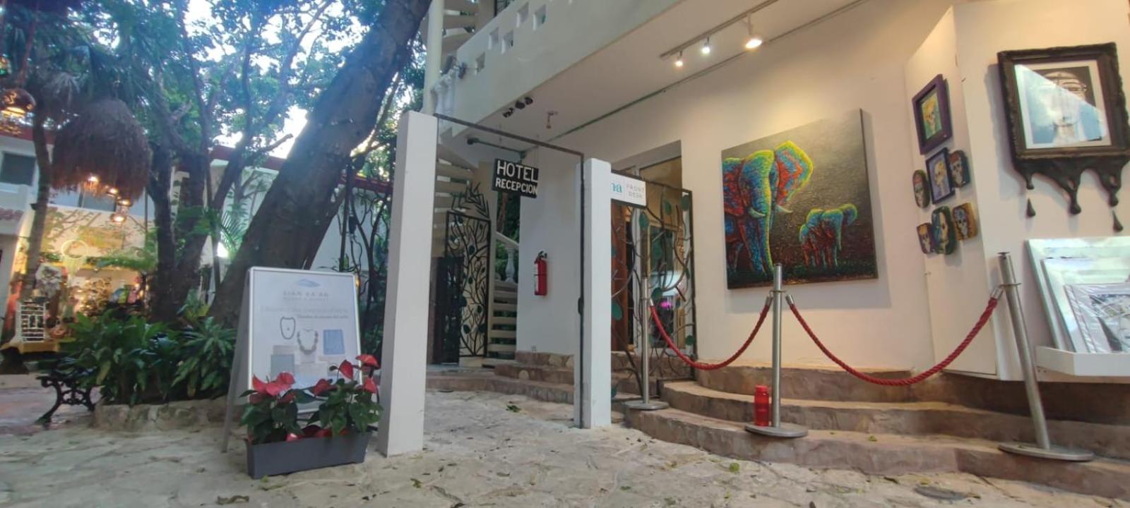 Hotel Ha Garden Gallery - 5Th Avenue Playa del Carmen Exteriér fotografie